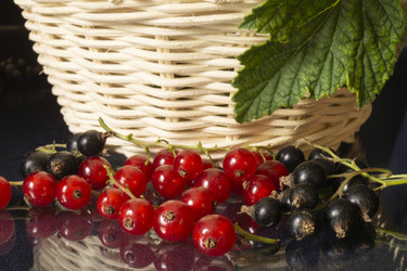 Similar image 21193078