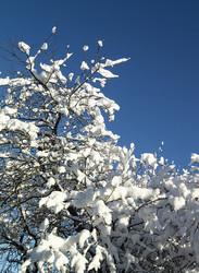 Similar image 21193081