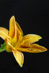 Similar image 21193134