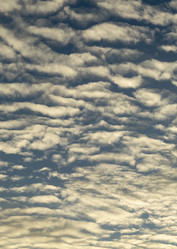 Similar image 21193135