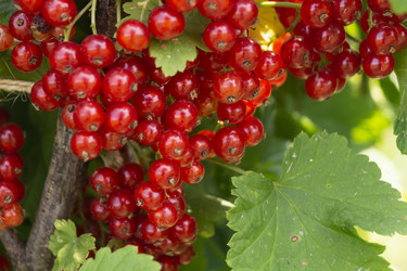 Similar image 21193137