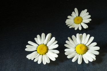 Similar image 21193223