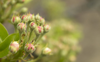 Similar image 21193226