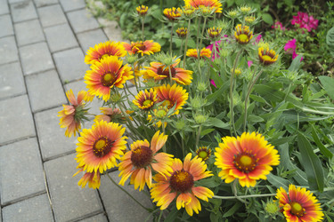 Similar image 21193227