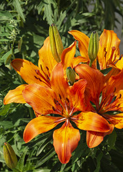 Similar image 21193228