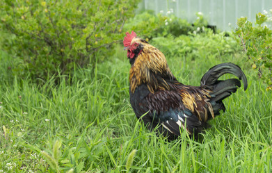 Similar image 21193232