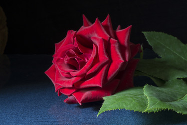 Similar image 21193233