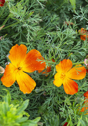 Similar image 21193234