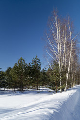 Similar image 21193236