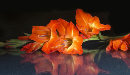 Similar image 21192893