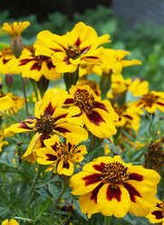 Similar image 21192894