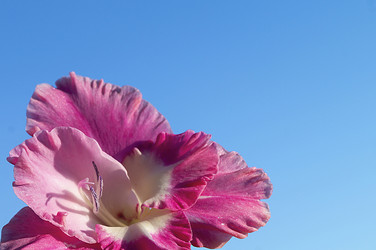 Similar image 21192896