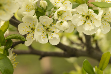 Similar image 21192915