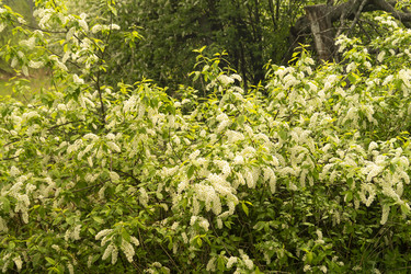 Similar image 21192917