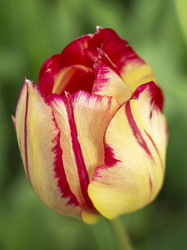 Similar image 21193085