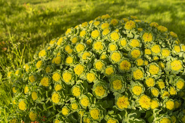 Similar image 21193087