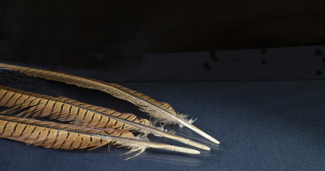 Similar image 21193116