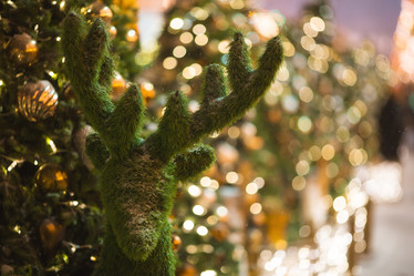 Similar image 21184727