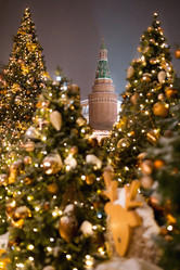 Similar image 21184730