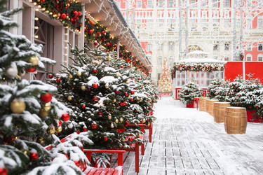 Similar image 21185309