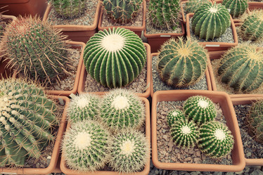 Similar image 21196267