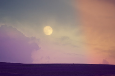 Similar image 21186561