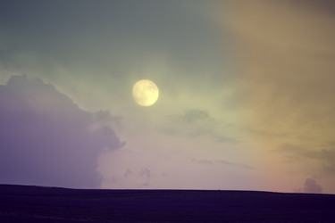 Similar image 21186562