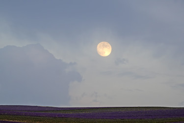 Similar image 21189544