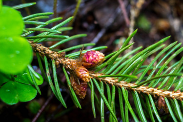 Similar image 21192180