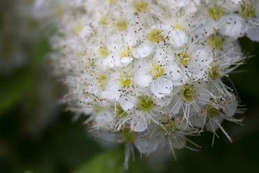 Similar image 21198676