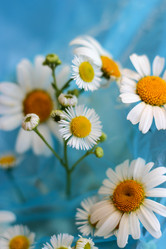 Similar image 21192162