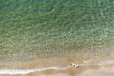 Similar image 21186203