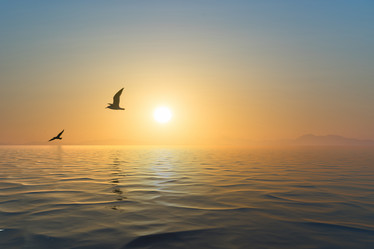 Similar image 21186221