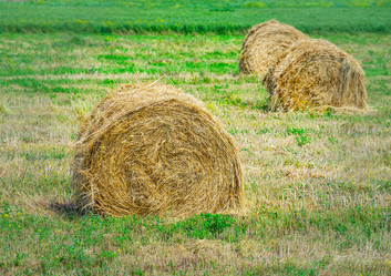 Similar image 21186224