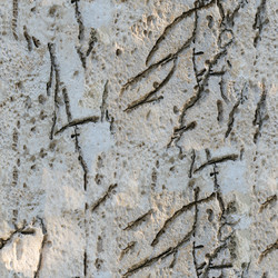 Similar image 21186235