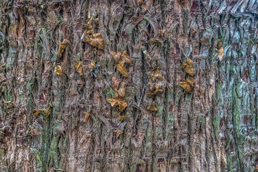 Similar image 21186571