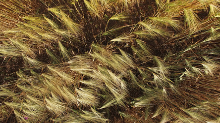 Similar image 21189558