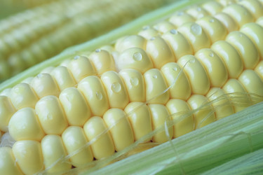 Similar image 21189561