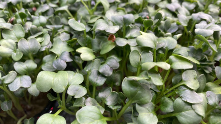 Similar image 21189569