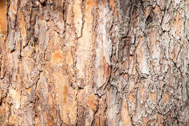 Similar image 21186251