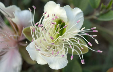 Similar image 21186262