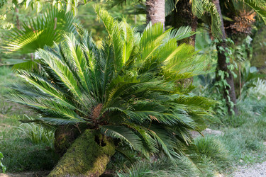 Similar image 21186266