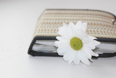 Similar image 21189866