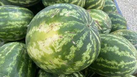 Similar image 21189598