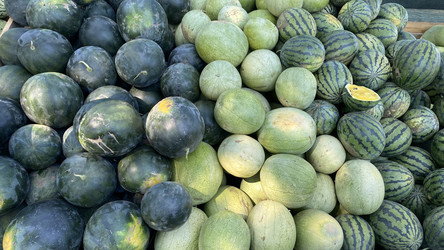 Similar image 21189599