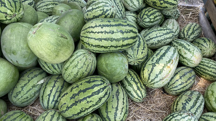 Similar image 21189600