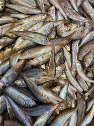 Similar image 21189664