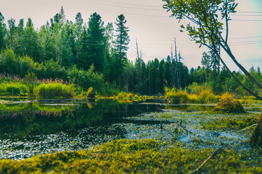 Similar image 21190302