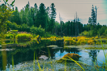 Similar image 21190304