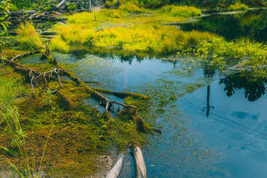 Similar image 21190305